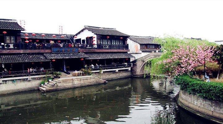 植物大战僵尸14